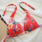 Calzedonia Indonesia bikini